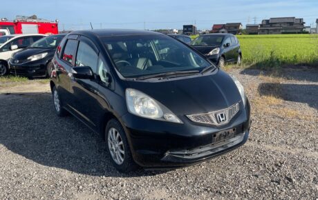 HONDA FIT 2009 L-TYPE SPECIAL EDITION [Dealer]