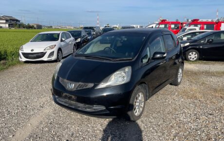 HONDA FIT 2009 L-TYPE SPECIAL EDITION [Dealer]