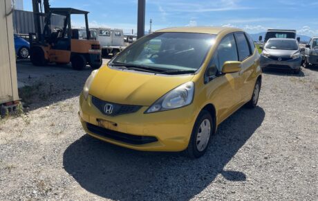 HONDA FIT 2009 G SPECIAL EDITION [Dealer]